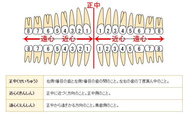 えんしん きんしん ぜっそく きょうそくって何だろう 9 13更新 明星商事